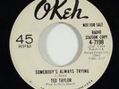 Ted Taylor 