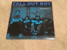 Fall Out Boy Take This To Your Grave Vinyl LP Record