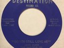 Garage 45 THE SHEFFIELDS Do You Still Love Me DESTINATION Nothing I Can Do HEAR