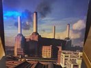 PINK FLOYD - ANIMALS, englisches Original, WIDE SPINE COVER, audiophile 1977