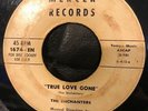 True Love Gone-Enchanters-Mercer 45--Super RAREST Detroit Doo-Wop 7