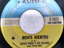 MONTE ADENTRO -CHECHE ABREU Y SUS COLOSOS   