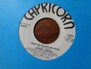 JOHNNY JENKINS I Walk on Guilded Splinters CAPRICORN 45 FUNKY SWAM ROCK BREAKS