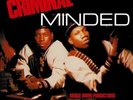 BOOGIE DOWN PRODUCTIONS - CRIMINAL MINDED NEW VINYL RECORD