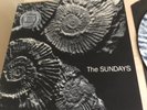 THE SUNDAYS Reading, Writing And Arithmetic  PICTURE DISC LP as new ROUGH148P