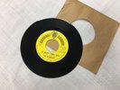 RARE MICHIGAN GARAGE PSYCH 45-THE DYNASTY-1968 COCONUT GROOVE #2038 NR MINT