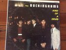 THE BUCKINGHAMS Kind Of A Drag w/ I'm A Man mono garage fuzz first press LP rare