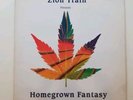 ZION TRAIN LP SKA REGGAE DUB DUBSTEP PUNK Oi  SKINHEAD RANCID RAMONES ROOTS DIY