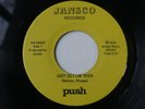 Nos 45- PUSH  JUST GETTIN' HIGH  US/'79 Punk KBD Power Pop - JANSCO -Disco Sucks