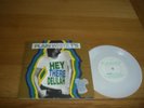 Plain White T's-Het there delilah.7