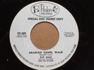PAT GALO   Arabian Camel Walk. 1962 popcorn instrumental tittyshaker jazz 45. EX