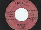 45 THE HARPTONES Featuring WILLY WINFIELD What Is Your Decision / Gimmie Some