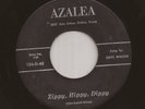 COYE WILCOX Zippy Hippy Dippy AZALEA 45 Texas Country Bopper UFO Aliens HEAR mp3