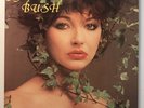 KATE BUSH - DREAMTIME - 3 LP VINYL RECORD SET PHARTING PHAROAH 13155