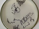 MADNESS HAND SIGNED DRUM SKIN ONE STEP BEYOND, BAGGY TROUSERS - SUGGS.
