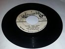 TREASURE ISLE/SLOW & EASY - THE JAMAICANS/TOMMY MCCOOK [R/STEADY] 7