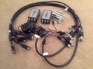 Two ALTINEX Video Isolators plus one Humbug