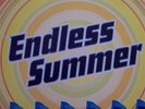 Scooter Endless Summer Vinyl Single 12inch NEAR MINT Club Tools
