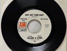 Doug Dillard & Gene Clark - Why Not Your Baby - A&M - Promo - NM