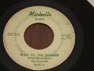 the Illusions 45 RARE City of People Wait Till Summer Detroit garage rock 7