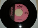 GARAGE BAND 45 RPM RECORD - SOL, INC. - BOSS 9920