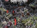 OUTER HEAVEN-REALMS OF ETERNAL DECAY (US IMPORT) VINYL LP NEW