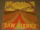 Raw Sienna Savoy Brown RARE 1970 Blues Rock Bell Sound Press Sleeve Error FAST