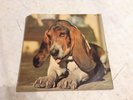 DUFFY *JUST IN CASE YOU´RE INTERESTED* LP 1972 PROG. KRACHER ARIOLA RARE