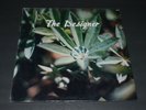 Spiritborne The Designer RARE Christian Gospel Xian Psych Folk SEALED FAST SHIP
