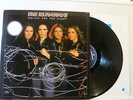 The Runaways - Waitin' for the Night LP + Innersleeve 1977 Mercury Holland NMint