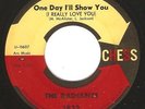 Northern Soul 45 THE RADIANTS 