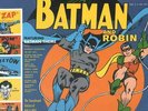 The Sensational Guitars Of Dan & Dale Batman And Robin LP VINYL DOL 2015 NEW