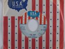 Garage Psych 45 PARK AVENUE PLAYGROUND The Trip U.S.A. VG+ promo HEAR