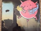 Pink Floyd - The Whole Hog Lp - Rare