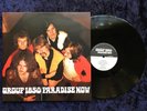 GROUP 1850 Paradise Now 1969 LP Ltd. Pseudonym RE Psych Rock Acid Prog MINT