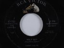 Rockabilly 45 SAMMY SALVO Wolf Boy RCA VICTOR VG++ HEAR