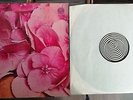 STILL LIFE-STILL LIFE-PROG/PSYCH-LP- VERTIGO SPIRAL/SWIRL-GERMANY-EX/NM