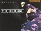 Dead or Alive, Youthquake  Vinyl Record *NEW*