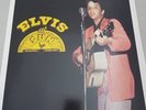 Elvis Presley Vinyl Lp- Elvis At Sun - RCA/BMG - 828766120516 -( 2004 )