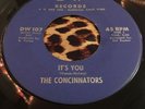 THE CONCINNATORS 
