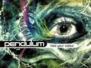 PENDULUM - Hold Your Colour - Vinyl (3xLP)