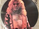LED ZEPPELIN LIVE Central Park 1969 PICTURE DISC