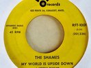 THE SHAMES - MY WORLD IS UPSIDE DOWN b/w SPECIAL ONES - RFT 45 - KILLER GARAGE