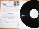 Iced Earth / iced earth / vinyl / Promotion Copy – Not For Sale / 12inch LP