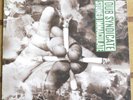 Dub Syndicate - Stoned Immaculate - vinyl LP, promo with press release