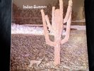 Indian Summer Indian Summer Neon reissue 180g 12