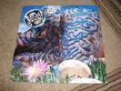 Jellyfish Bellybutton 1990 Charisma US promo tri fold alt pop indie rock psych 