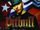 PITBULL-MIAMI VINYL LP NEW