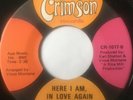 Northern Soul 45/ The Brothers Two 