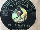 JERRY BRIGHT YUCCA 143 Bobby Fuller Jim Reese - new mexico rockabilly 45